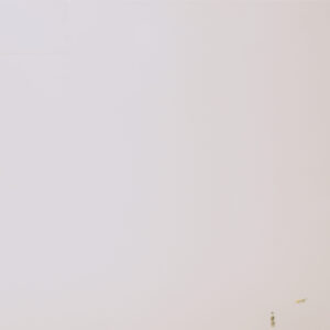 Plain White Finish (Matt) – Ceramic Wall Tile 300×600