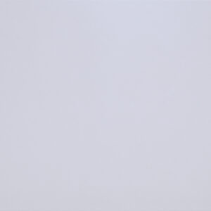 Plain Grey Finish (Matt) – Ceramic Wall Tile 300×600