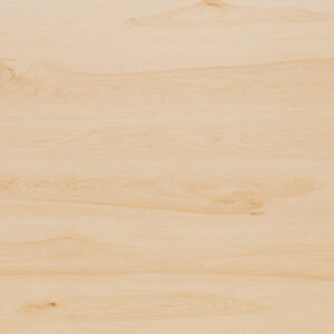 Wooden Finish (Matt) – Ceramic Wall Tile 300×600