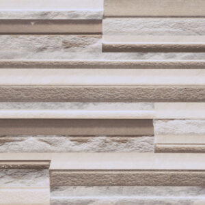 Elevation Grey Finish (Matt) – Ceramic Wall Tile 300×600
