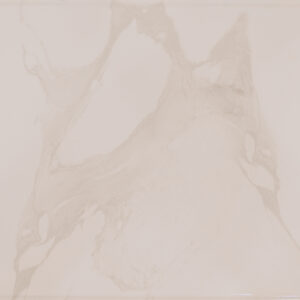 Marble Finish (Glossy) – Ceramic Wall Tile 300×600