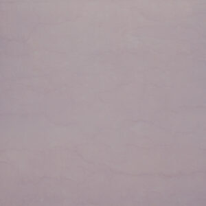 Plain Grey Finish (Glossy) – Ceramic Wall Tile 250×375