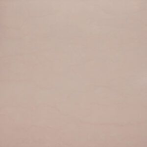 Plain Beige Finish (Glossy) – Ceramic Wall Tile 250×375