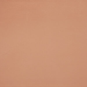 Plain Beige Finish (Glossy) – Ceramic Wall Tile 250×375
