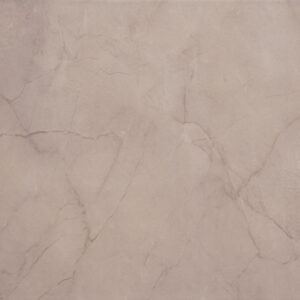 Grey Marble Finish (Glossy) – Ceramic Wall Tile 250×400