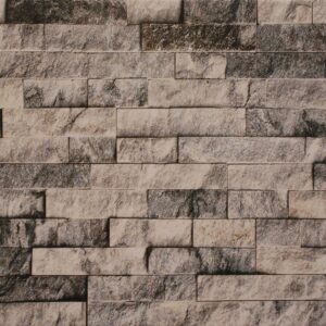 Elevation Grey Finish (Glossy) – Ceramic Wall Tile 250×400