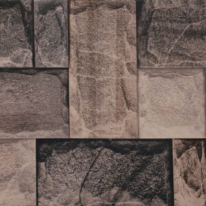 Elevation Stone Finish (Glossy) – Ceramic Wall Tile 250×400