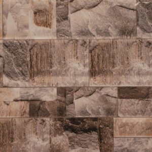 Elevation Stone Finish (Glossy) – Ceramic Wall Tile 250×400