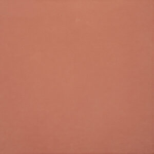 Plain Pink Finish (Matt) – Ceramic Floor Tile 300×300