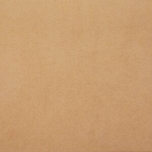 Plain Ivory Finish (Matt) – Ceramic Floor Tile 300×300