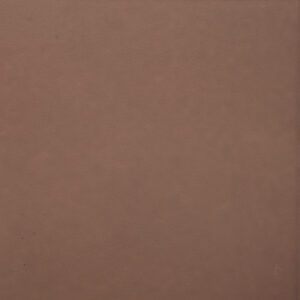 Plain Brown Finish (Matt) – Ceramic Floor Tile 300×300
