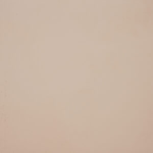 Plain White Finish (Glossy) – Ceramic Floor Tile 300×300