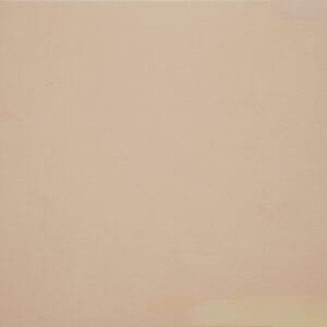 Plain White Finish (Matt) – Ceramic Floor Tile 300×300