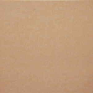 Plain Ivory Finish (Matt) – Ceramic Floor Tile 300×300