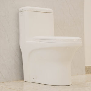 One Piece Toilet White