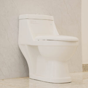 One Piece Toilet white