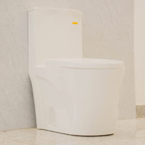 One Piece Toilet White Ceramex