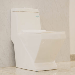 One Piece Toilet White Ceramex