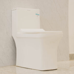 One Piece Toilet White Ceramex