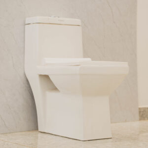 Closed Coupled Toilet White