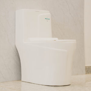 Closed Coupled Toilet White