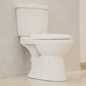Closed Coupled Toilet White