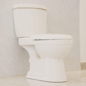 Closed Coupled Toilet White