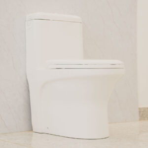 One Piece Toilet Ceramex White
