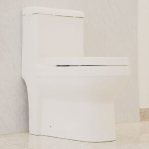 One Piece Toilet Ceramex White