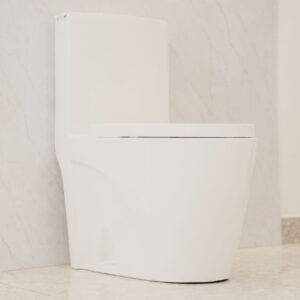 One Piece Toilet Ceramex White
