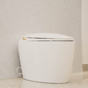 Smart Toilet Intelligent with Remote White