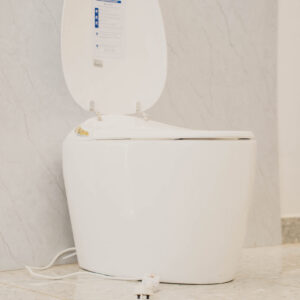 Smart Toilet Intelligent with Remote White (with remote)