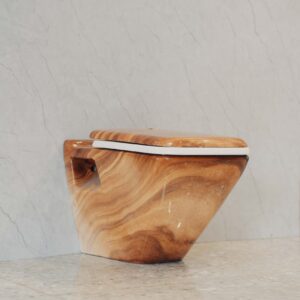 Wall Hung Toilet Marble Wooden Design