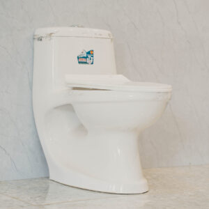 One Piece Toilet Astell White (India)
