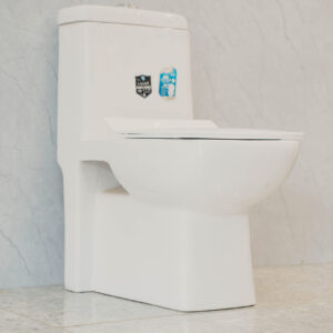 One Piece Toilet Astell Big (India)