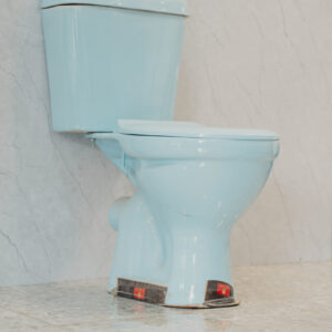Close Coupled Toilet Blue