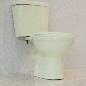 Close Coupled Toilet Green