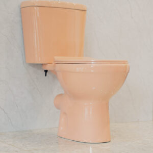 Close Couple Toilet Pink