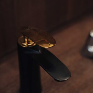 Basin Mixer Black and Gold Matt