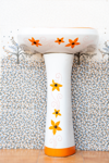 Pedestal Basins